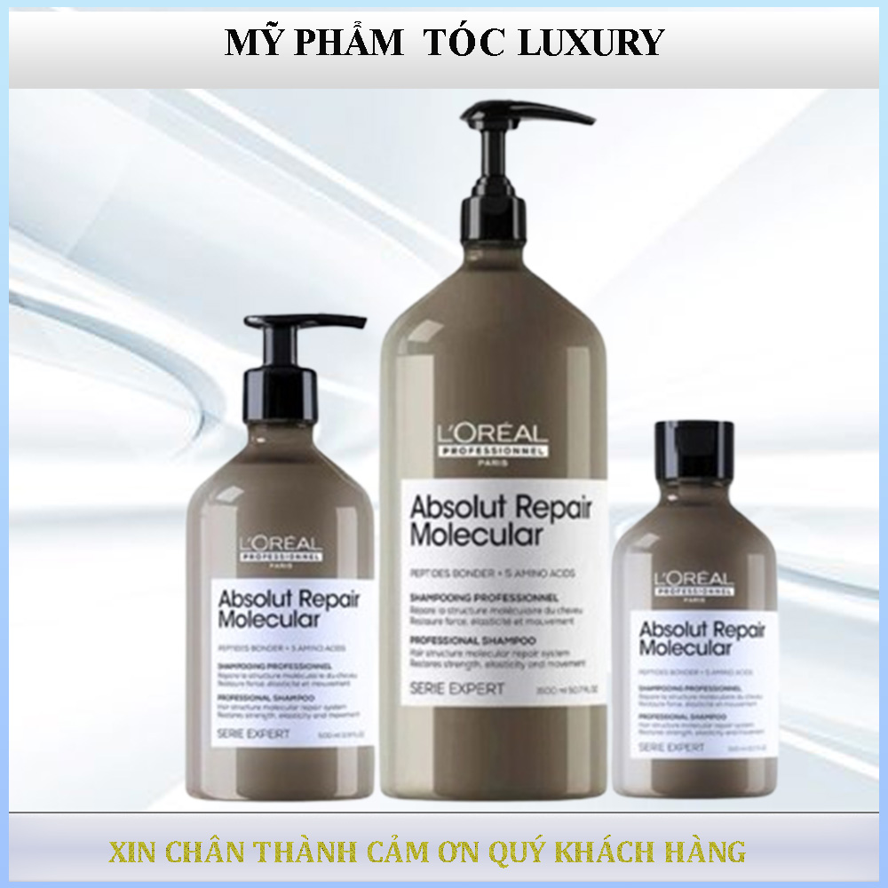 Dầu gội phục hồi tóc Loreal Molecular Absolut Repair 300ml-500ml-1500ml